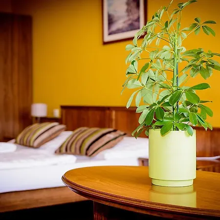 Pod Kasnou Guest house 3*